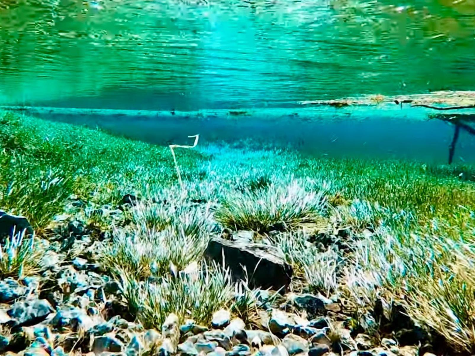 Gruener See Exklusiv Oberort Εξωτερικό φωτογραφία