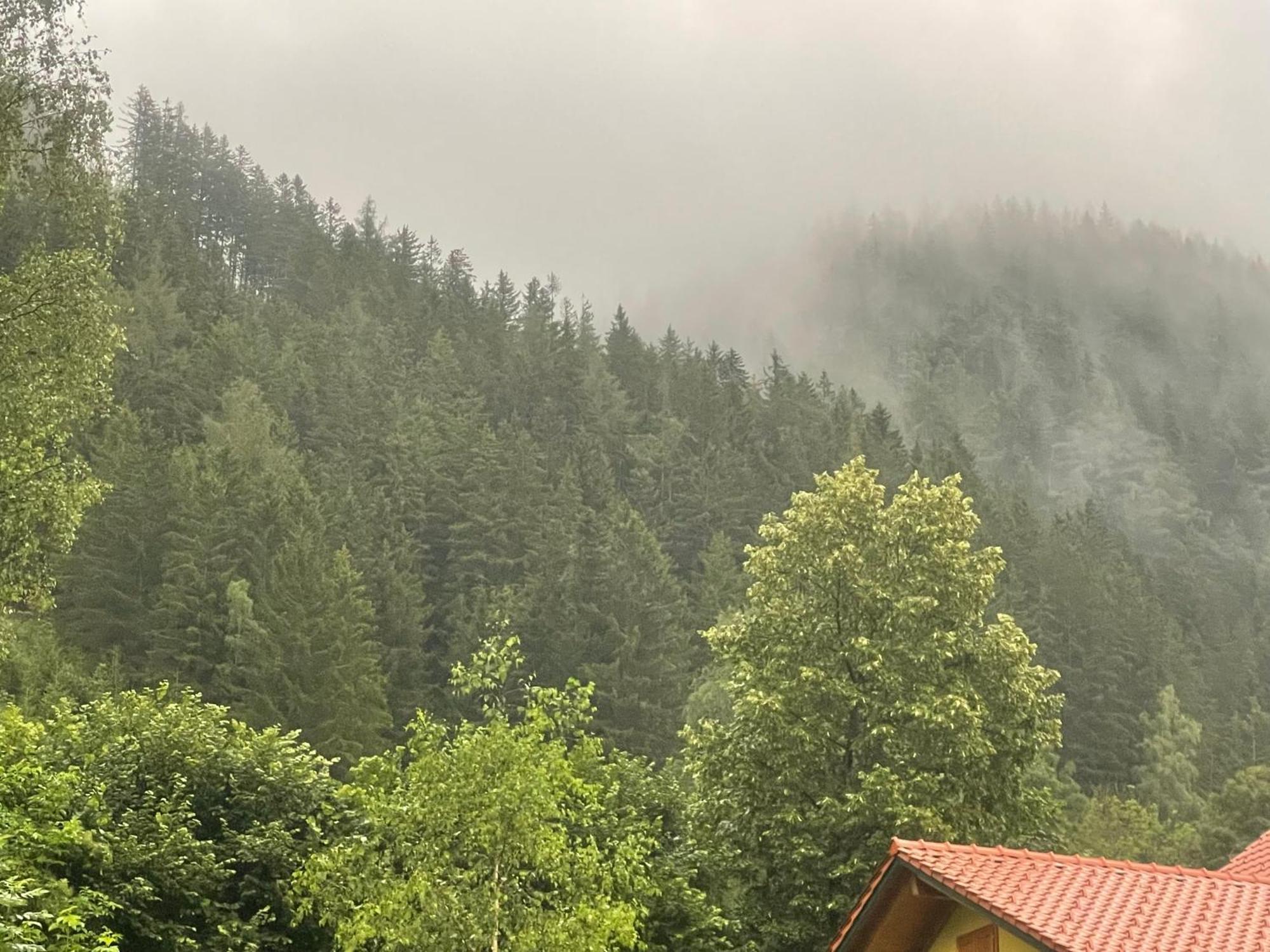 Gruener See Exklusiv Oberort Εξωτερικό φωτογραφία